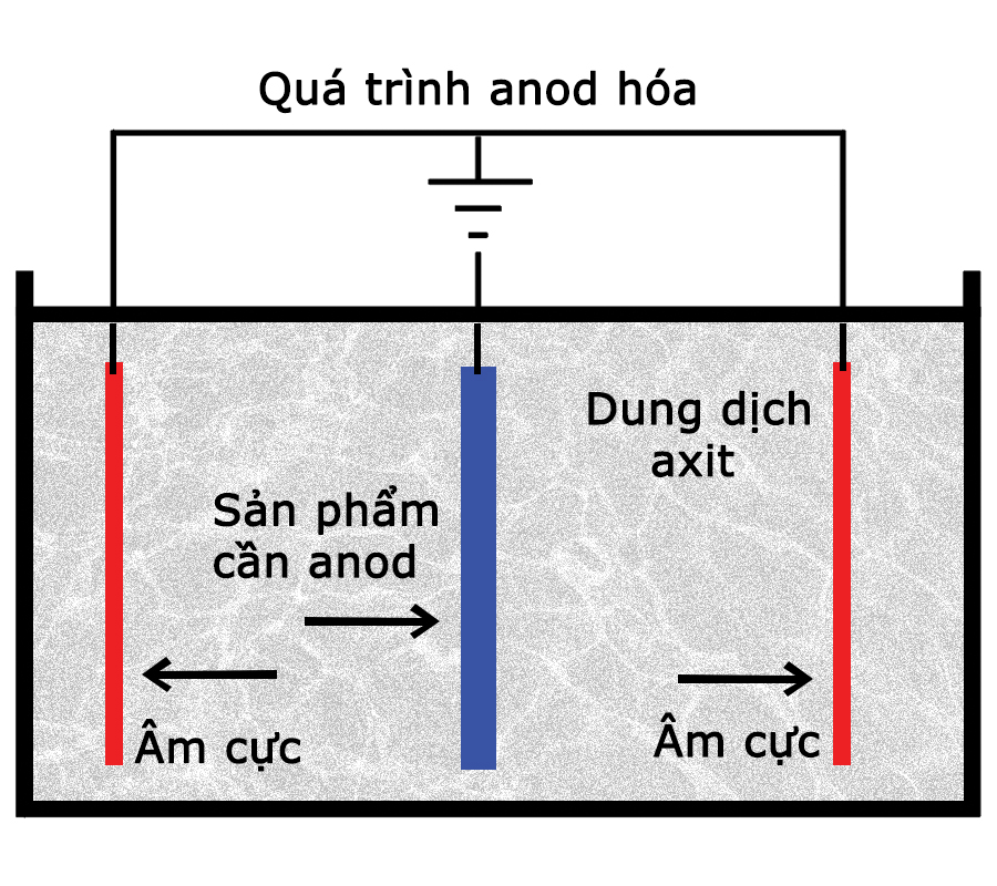 gì tphcm nhận