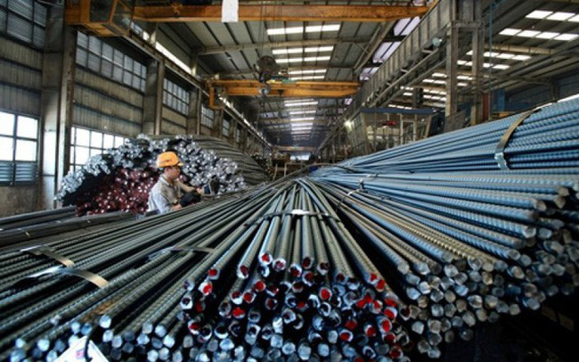 hôm   nay   phi   16   10   tra   cây