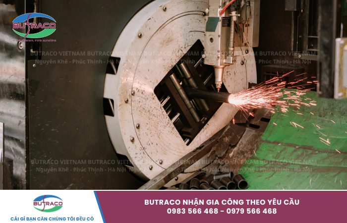 lá thống gió hồi đường spcc