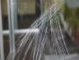 GOOD TIPS FOR TREATING SCRATCHED TEMPERED GLASS