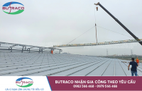 Top 4 địa chỉ cung cấp tôn Seamlock uy tín