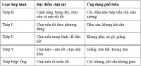 ​Bảng tra khả năng chịu lực của thép hình
